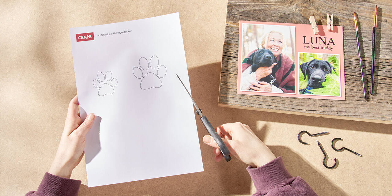 Zwei Hände schneiden die Schablonen in Form einer Hundepfote aus dem Papier. Daneben liegen die restlichen Materialien für die Hundegarderobe.